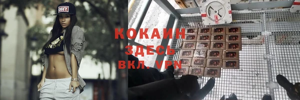 spice Алексин