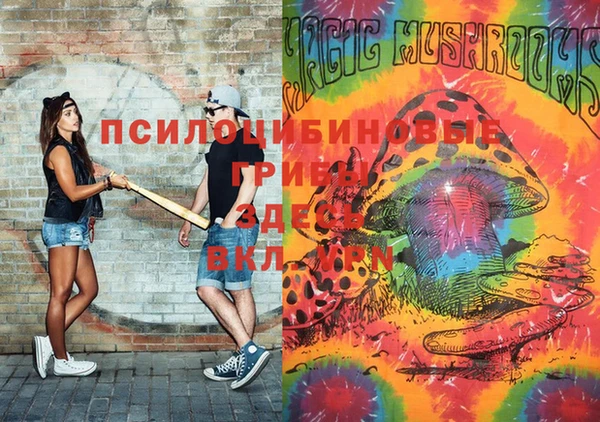 2c-b Алексеевка