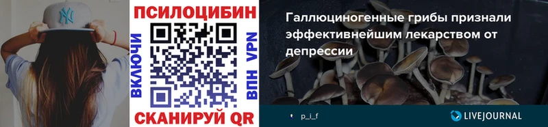 Псилоцибиновые грибы GOLDEN TEACHER где можно купить Козловка