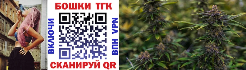 mega зеркало  наркошоп  Козловка  Канабис ГИДРОПОН 